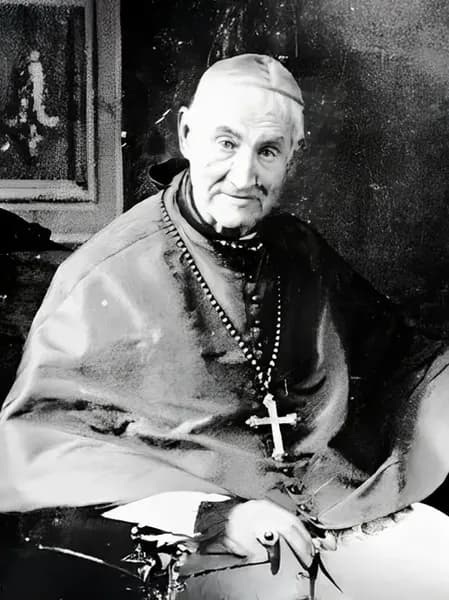 Imagem de São João Antônio Farina