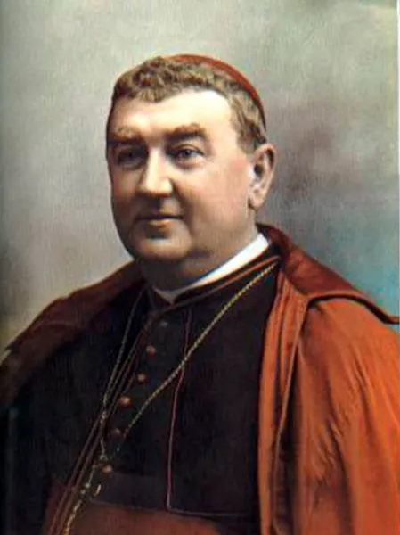 Imagem de São Manuel González García