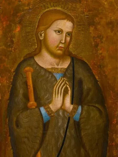 Imagem de São Rainero de Pisa